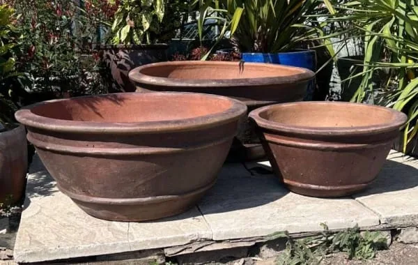 Rustic Azelia Bowl
