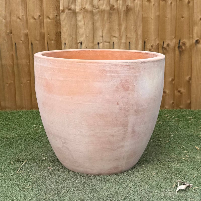 Tuscan Egg Pot - Image 3
