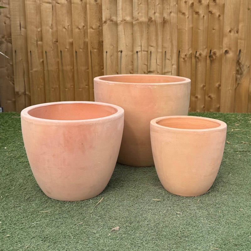 Tuscan Egg Pot - Image 4