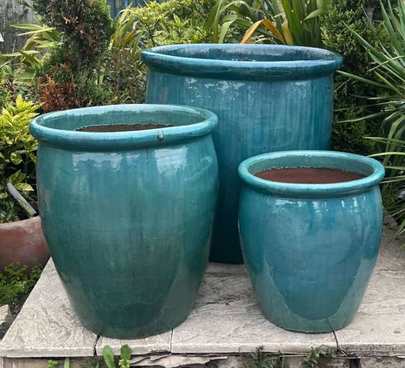 Glazed Green Giant Tall 352