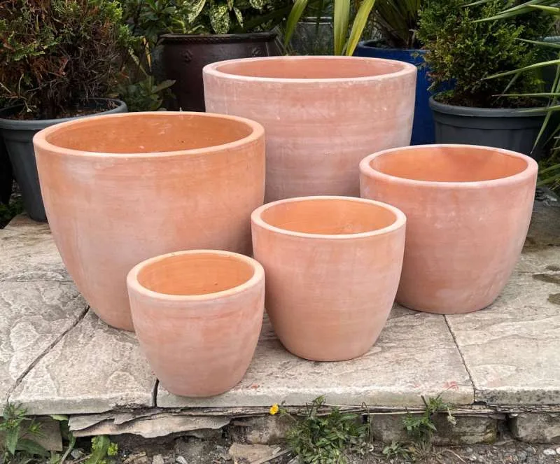 Tuscan Egg Pot
