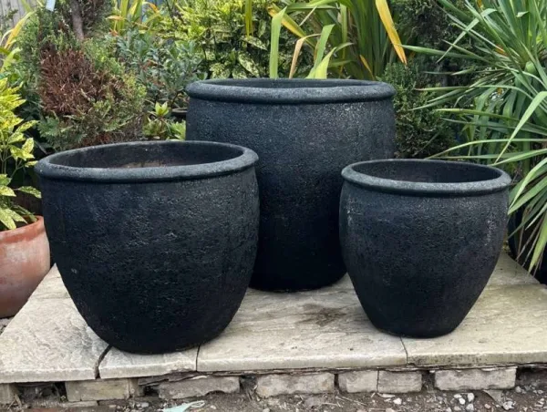 Atlantis Black Tall Rimmed Egg Pot