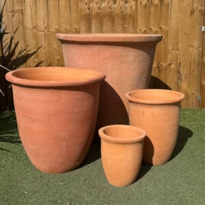 Tuscan Coconut Plain