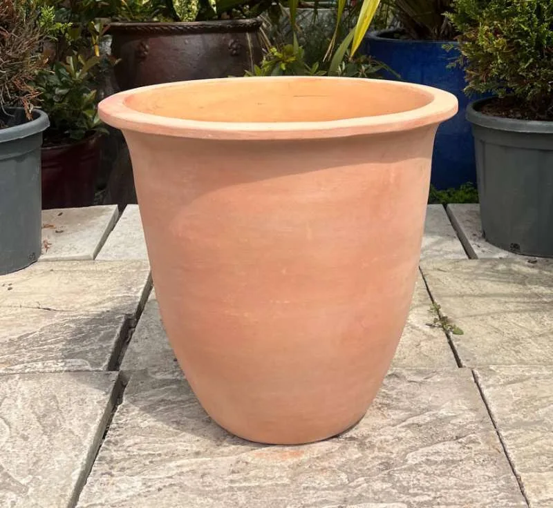 Tuscan Coconut Plain - Image 3