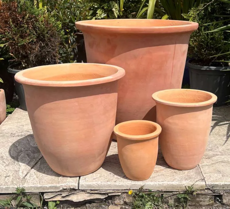 Tuscan Coconut Plain