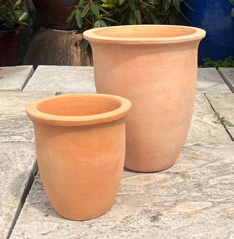 Tuscan Coconut Plain - Image 4