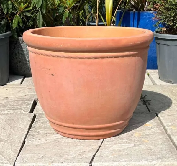 Tuscan Rope Top - Image 3