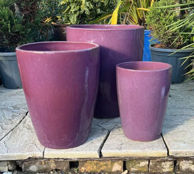 Glazed Lilac Canton