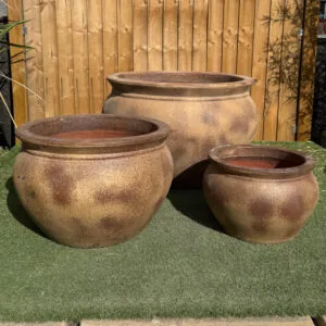 Ancient Rust Rose Bowl