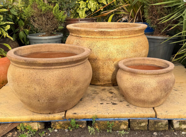 Ancient Rust Rose Bowl