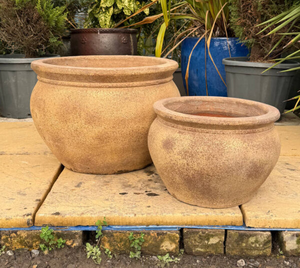 Ancient Rust Rose Bowl - Image 3