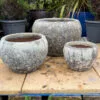 Atlantis Sand Half Egg Pot Set of 3