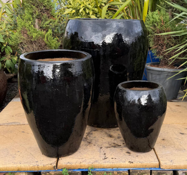 Glazed Black Rimless Water Jar