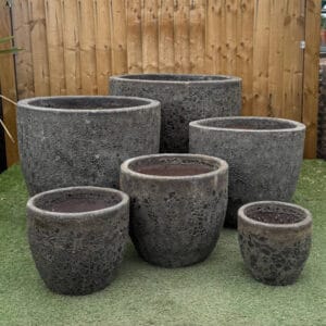 Atlantis Black Giant Egg Pot