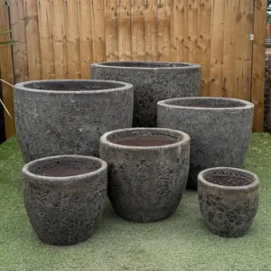 Atlantis Black Giant Egg Pot