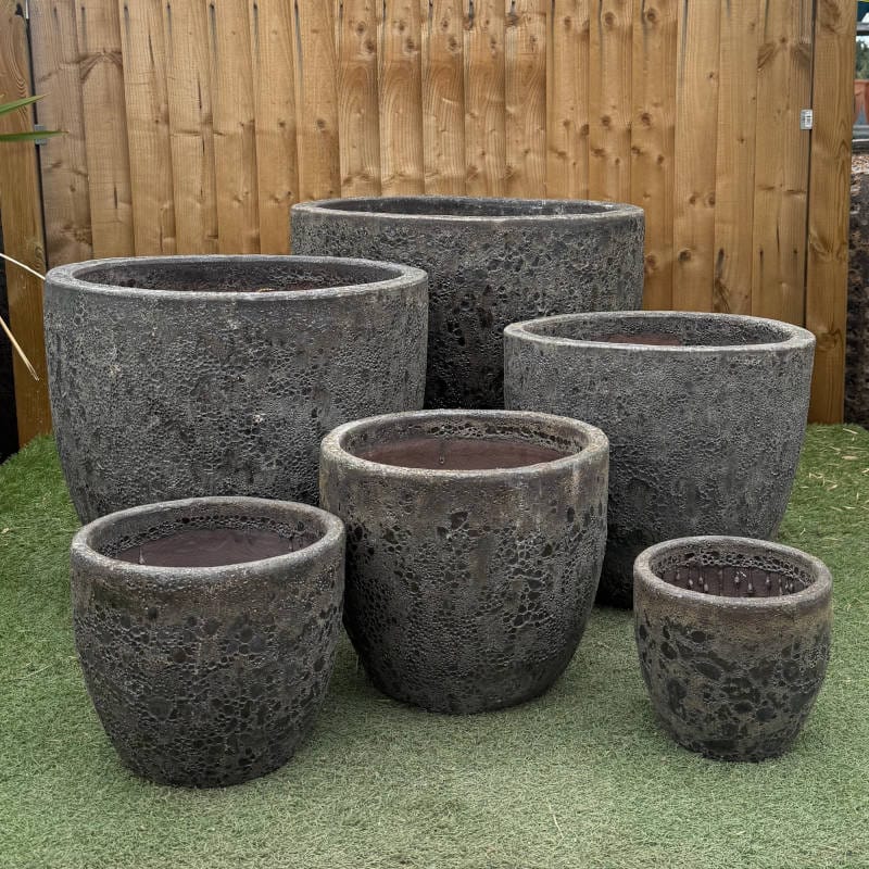 Atlantis Black Giant Egg Pot