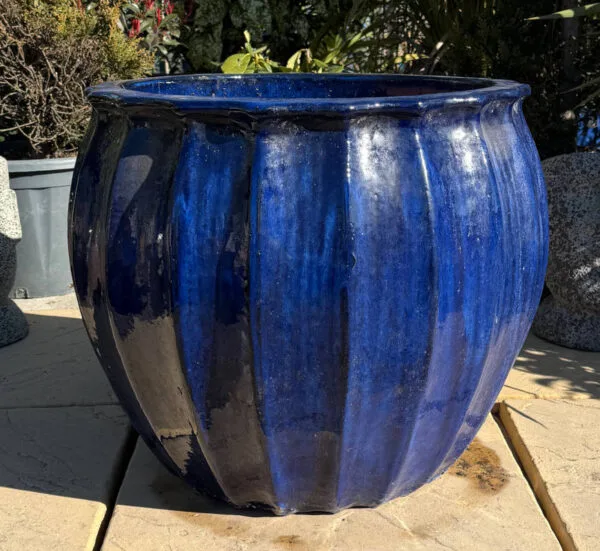Glazed Blue Star Fruit - Image 2