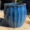Glazed Blue Star Fruit - Image 4