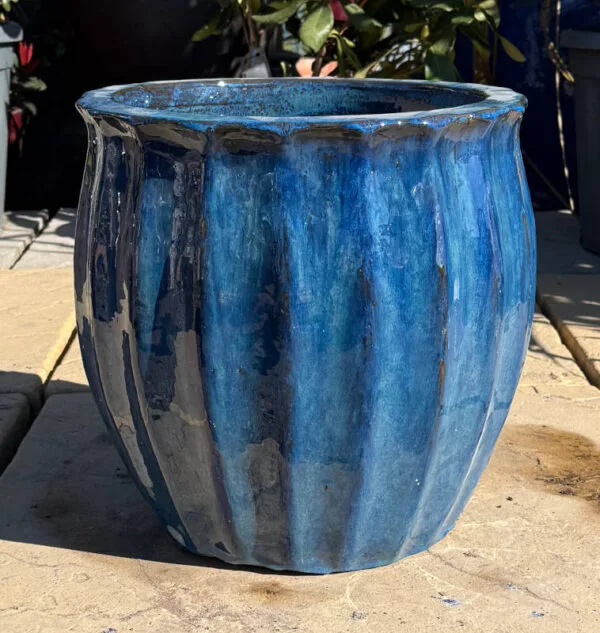 Glazed Blue Star Fruit - Image 4