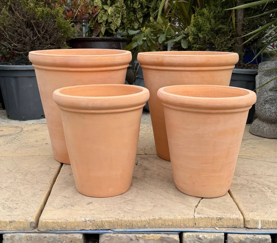 Tuscan Tall Palermo Short Set x2