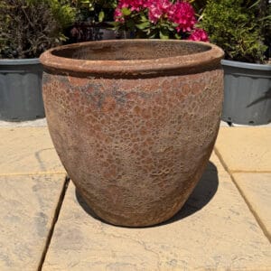 Atlantis Rust Tall Rimmed Egg Pot Small Second