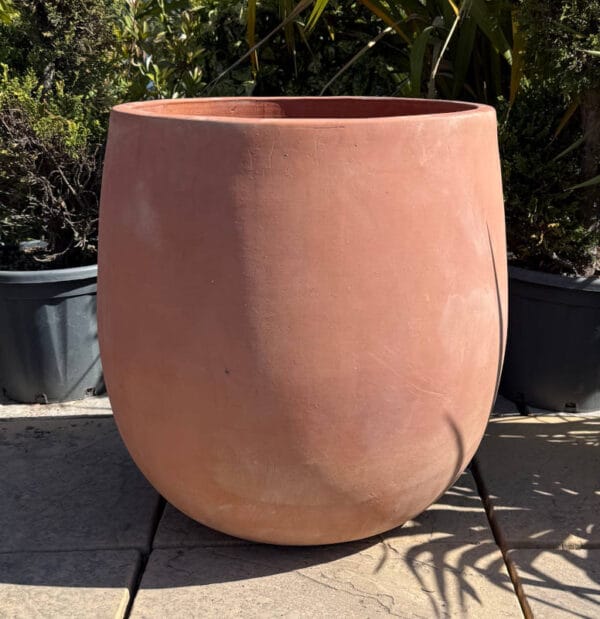 Tuscan Bowed Egg Pot - Image 2