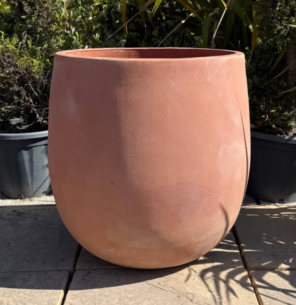 Tuscan Bowed Egg Pot - Image 2