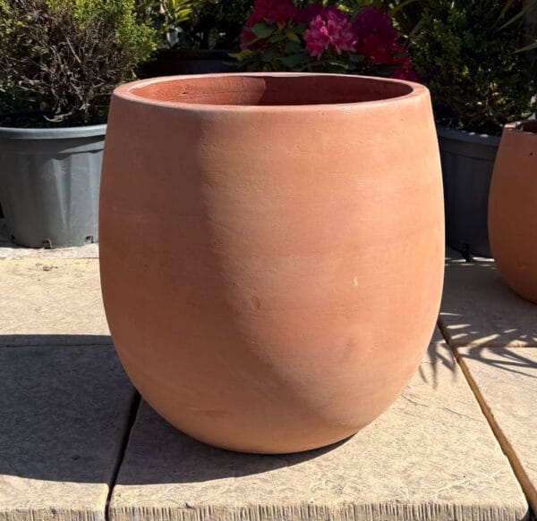 Tuscan Bowed Egg Pot - Image 3
