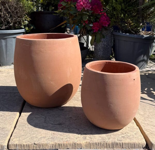 Tuscan Bowed Egg Pot - Image 4