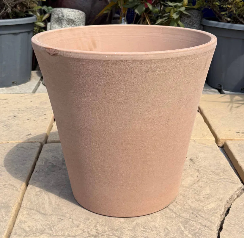 Tuscan Primitivo - Image 4