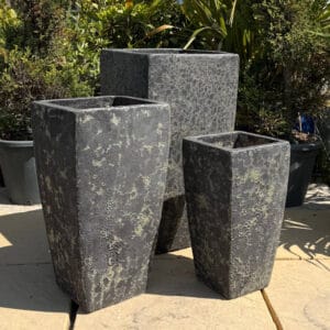 Atlantis Verdi Black Tall Camilla