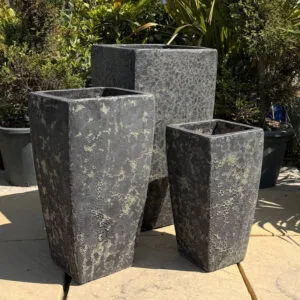 Atlantis Verdi Black Tall Camilla