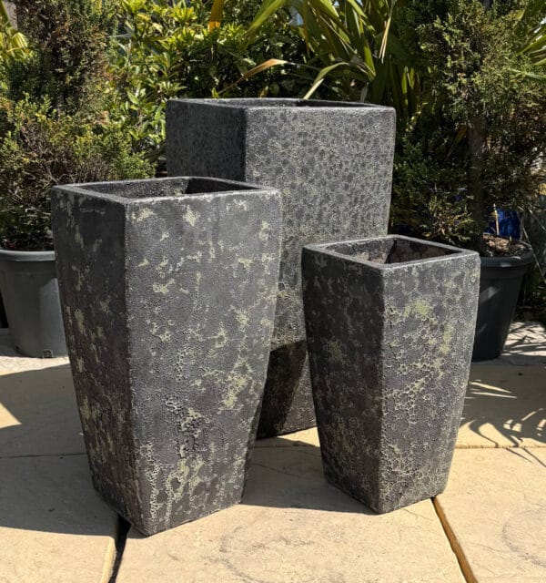 Atlantis Verdi Black Tall Camilla