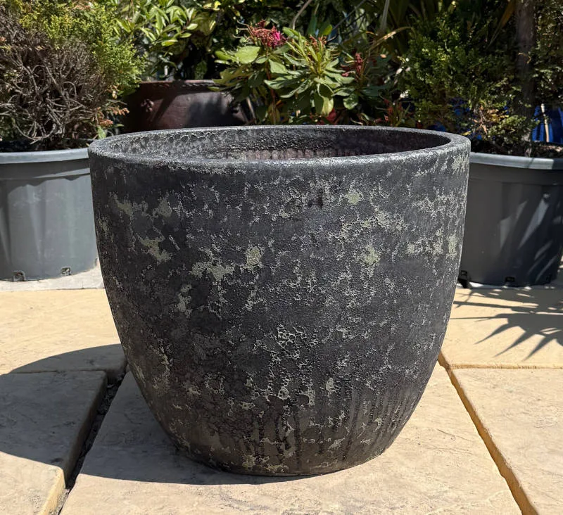 Atlantis Verdi Black Vaso Giant Egg - Image 3