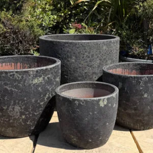 Atlantis Verdi Black Vaso Giant Egg