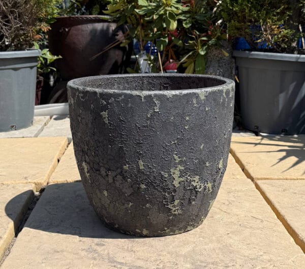 Atlantis Verdi Black Vaso Giant Egg - Image 5