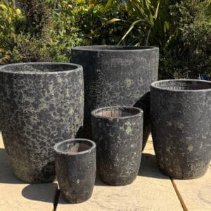 Atlantis Verdi Black Vaso Tall Cylinder