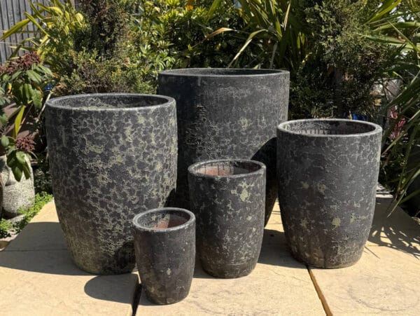 Atlantis Verdi Black Vaso Tall Cylinder