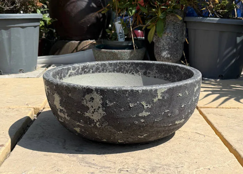 Atlantis Verdi Black Low Bowl - Image 4
