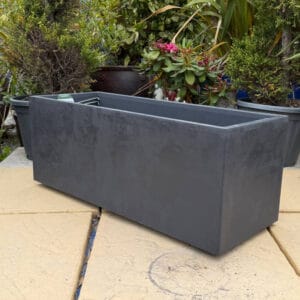 Black Millennium Trough
