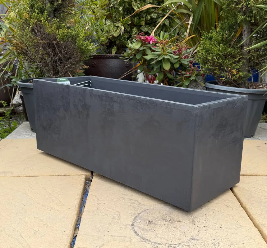 Black Millennium Trough