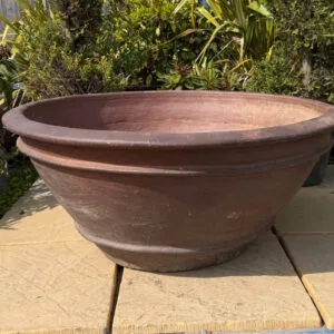 Rustic Giant Azelia Bowl