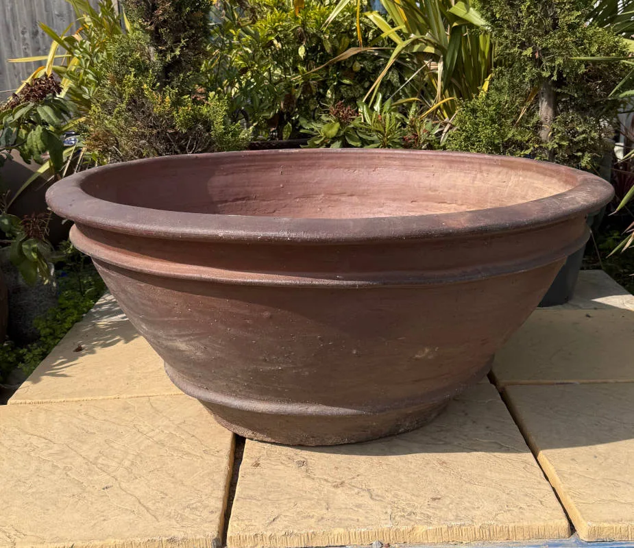 Rustic Giant Azelia Bowl
