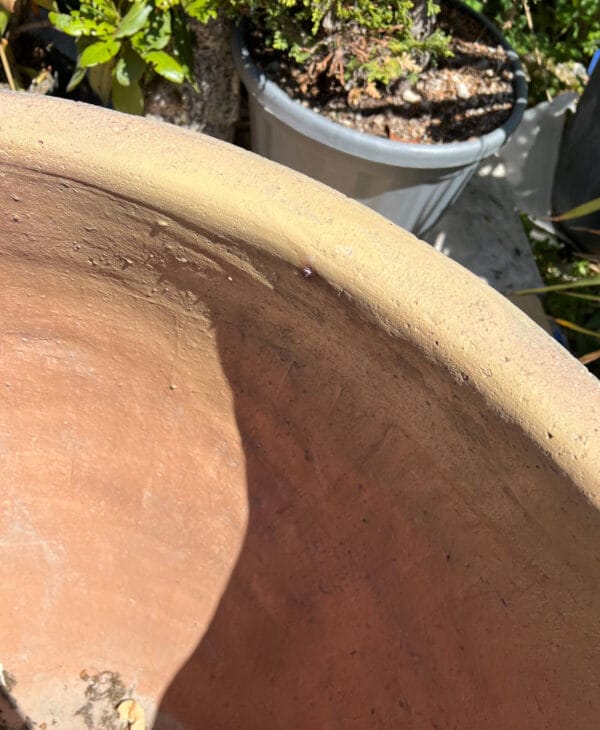 Old Stone Plain Round Wavy Rim Large Second - Image 3