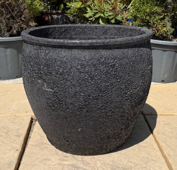 Atlantis Black Rimmed Egg - Image 2