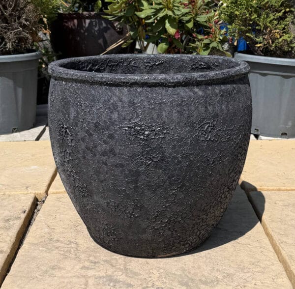 Atlantis Black Rimmed Egg - Image 3