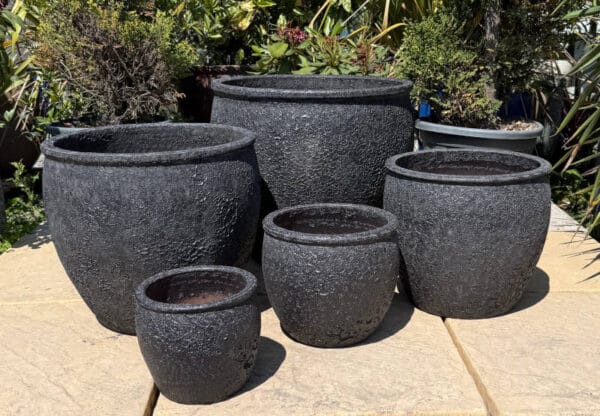 Atlantis Black Rimmed Egg