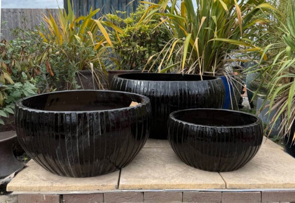 Glazed Black Ribbed Low Bowl