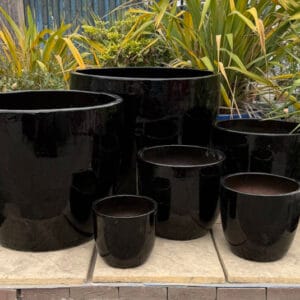 Glazed Black Vaso Giant Egg