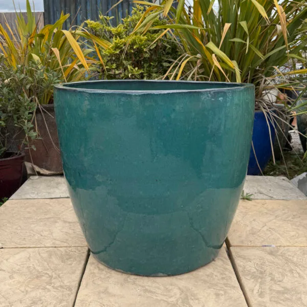 Glazed Green Vaso Giant Egg - Image 3